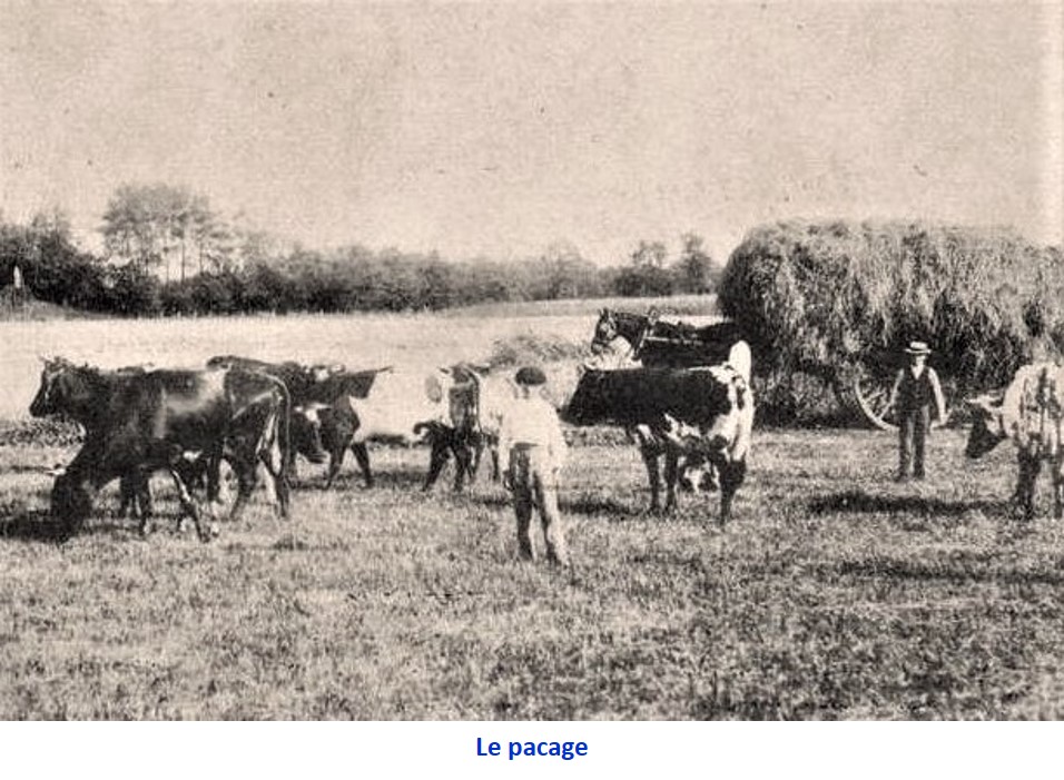 La loi de 1850 sur les jeunes détenus